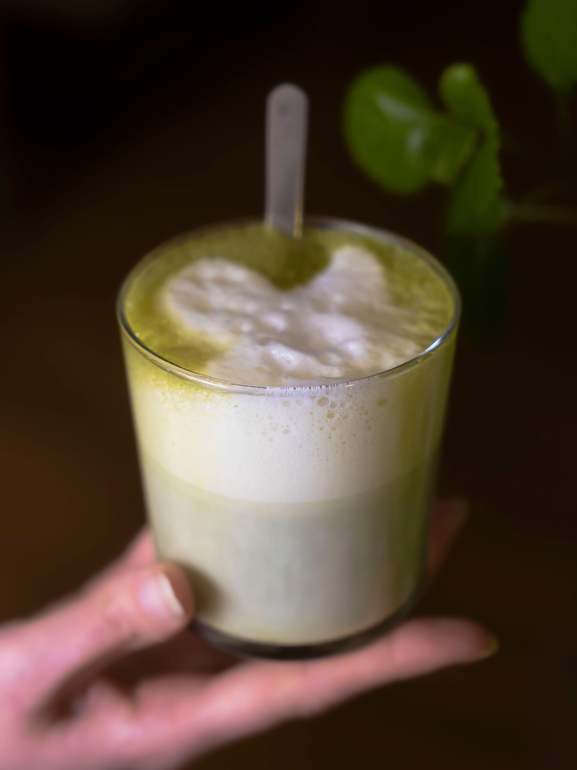 Matcha Latte